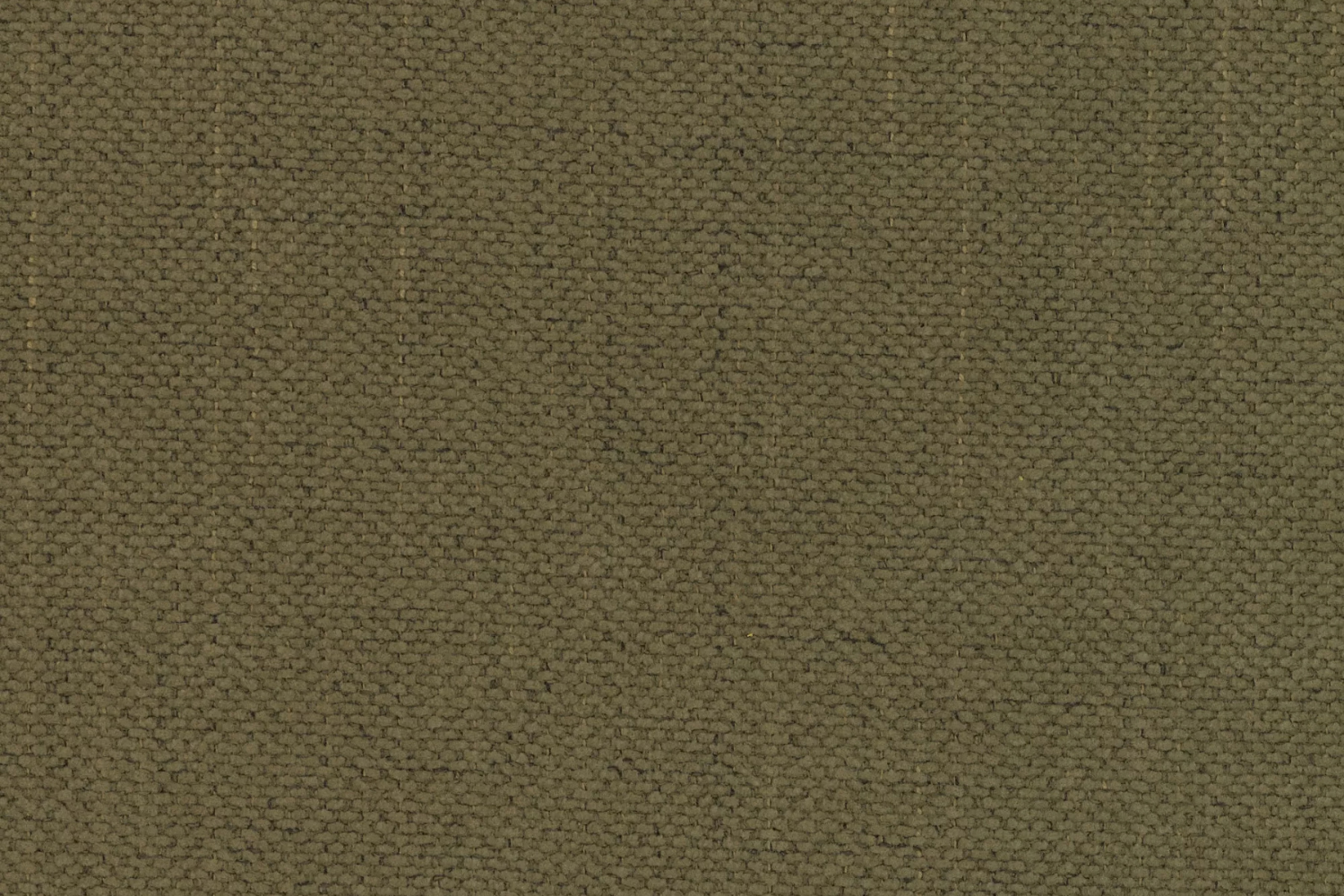 Moly 38 Grün